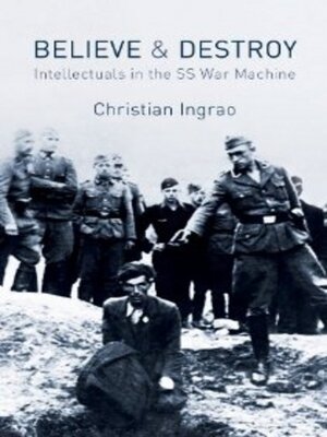 cover image of Believe and Destroy